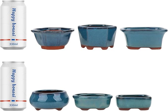 Bonsai Planter 6 pc Mini Glazed Succulent Pots Value Set + 6 Soft Mesh Drainage Screens