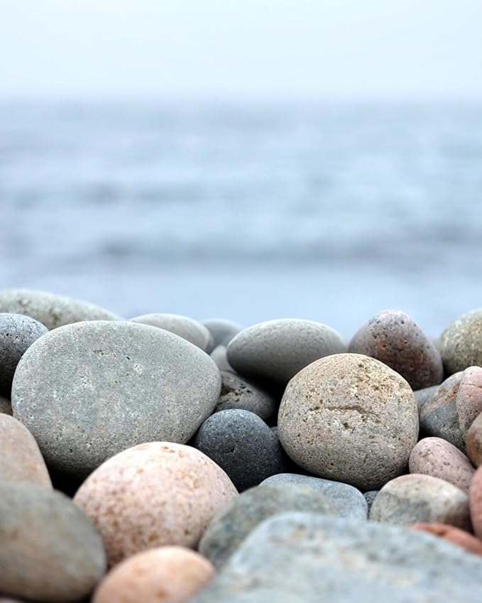 Natural River Rocks-5 lbs of Pebbles and River Stones,2-3 Inch Plant Rocks for Landscaping,Garden Paving,Crafting,Walkways,and Outdoor Decorative Stone,Mexican Beach River Rocks