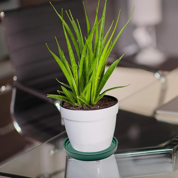 4 Pack Ceramic Plant Saucer Pot Tray 4 Inch, Planter Saucers 4 5 6 7 8 9 10 11 12 13 Inch for Indoors Outdoor, Durable Sturdy Flower Drainage drip Water Tray for Glazed Pots Base ((4.5"/4.1"-Green)