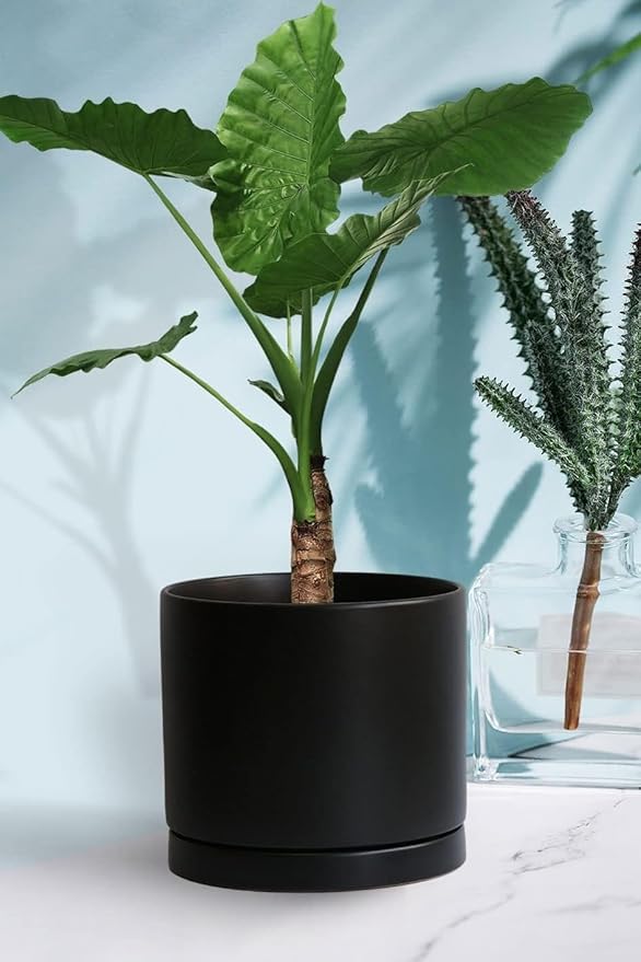 Plant Saucer Pot Tray Planter Saucers 4 in, 5 6 7 8 9 10 11 12 Inch Black 4 Pack for Indoors Outdoor, Durable Sturdy Ceramic Flower Drainage Tray for Glazed Pots Base ((4.5"/4.1"-Black)