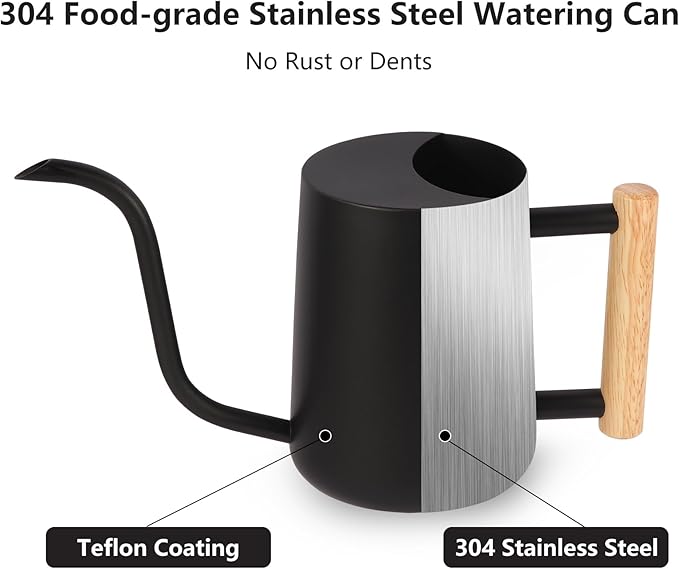 Plant Watering Can,35oz Metal Watering Can,Stainless Steel Indoor Plants with Long Curved Spout,Small Bonsai Outdoor Garden Modern Decorative(Black)