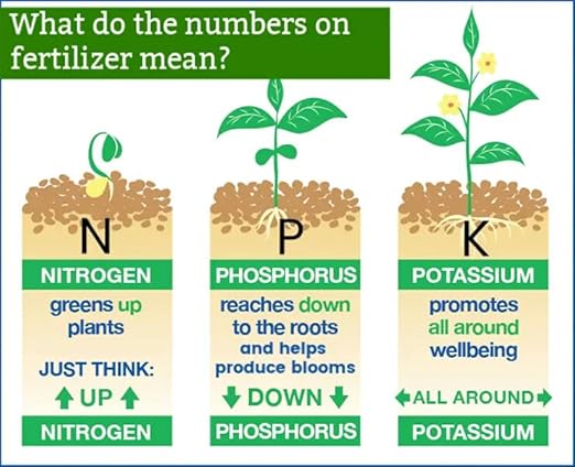 Premium 8-4-8 Professional Palm Tree Fertilizer Plant Food |Indoor Potted Plants and Outdoor Landscape Palm Trees | Quick-Release Nitrogen Fertilizer and Continuous Feeding [8 OZ]