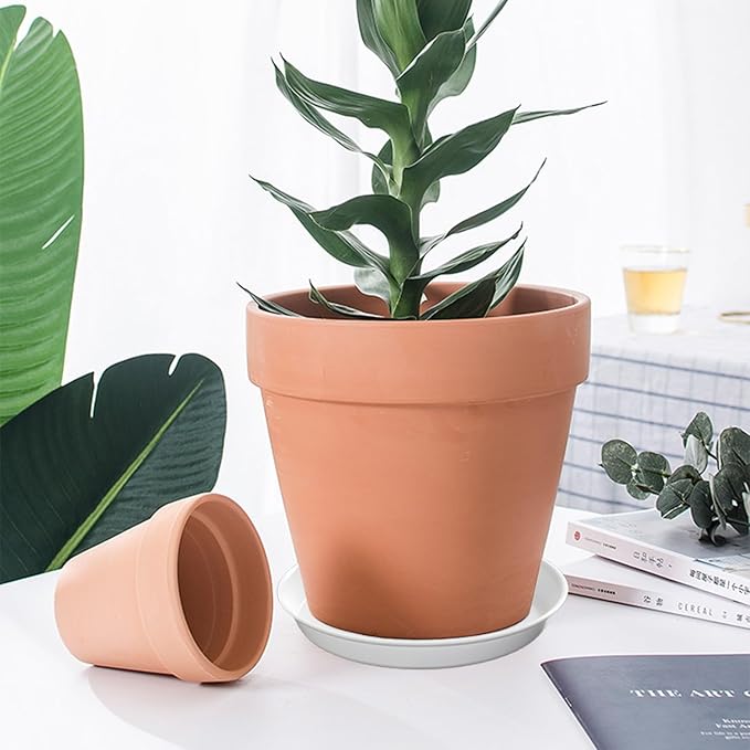 12 Pack Plant Saucer, 6 8 10 inch Plant Saucers Heavy Sturdy Plastic Planter Trays Pot Tray for Indoor Outdoor, Plant Water Drip Trays for Pots, White