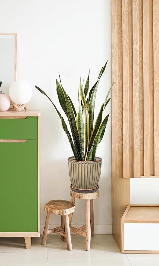 Oairse Ceramic Pots for Indoor Plants, 7.8 inch Pots for Plants Brown Planters with Drainage Holes and Saucers Texture Ceramic Planters Indoor Outdoor for Succulent