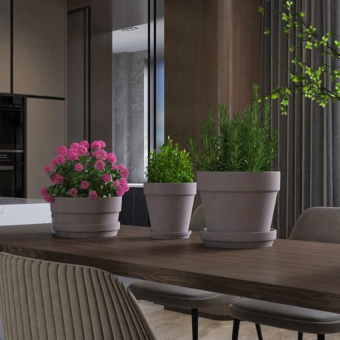 Fcacti 6 Pack 4.5 Inch Grey Terra Cotta Pots with Saucer, Clay Planters with Drainage Hole, Indoor/Outdoor Cactus Clay Flower Pots