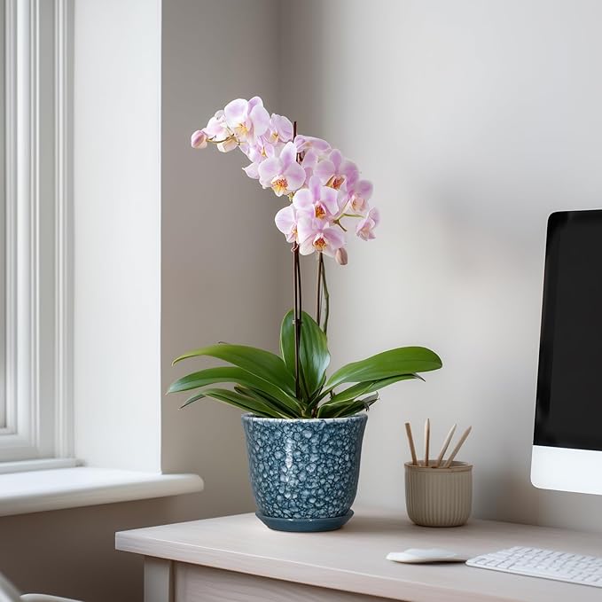 Ceramic Pots for Plants - 5.6 Inch Plant Pot for Indoor Outdoor, Round Succulent Orchid Pot with Drainage Hole and Saucer, Modern Small Flower Pot, Room Home Decor, Plant Lover Gifts, Blue