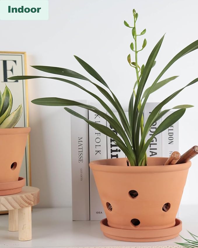 vensovo Terracotta Orchid Pots with Holes and Saucers - Clay Orchid Planter Pots for Repotting, Plant Flower Pots for Orchid Indoor and Outdoor Promotes Air Circulation