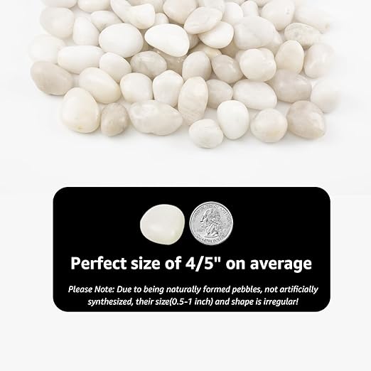 Natural White River Pebbles - LOOIOOJ 20 Lbs Polished Decorative Rocks, 0.5-1 inch, for Aquariums, Gardens, and Indoor Plant Drainage (White, Weight: 20 LB)