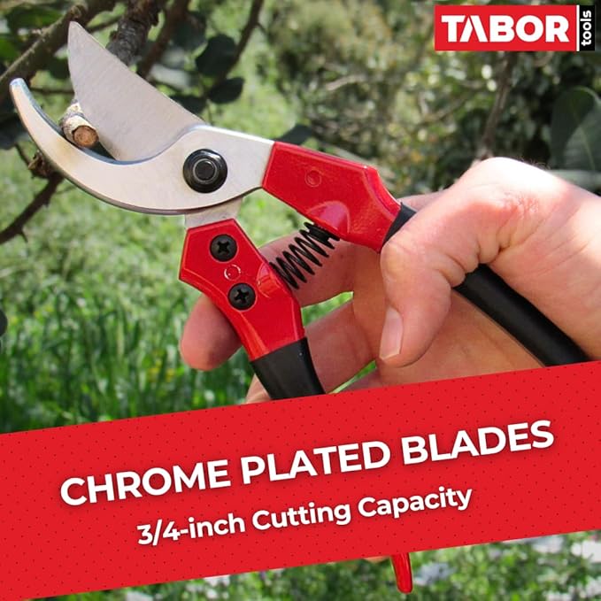 TABOR TOOLS S821A Bypass Pruning Shears, Makes Clean Cuts, Great for S-M Size Hands. Professional Sharp Secateurs, Hand Pruner, Garden Shears, Clippers for The Garden.