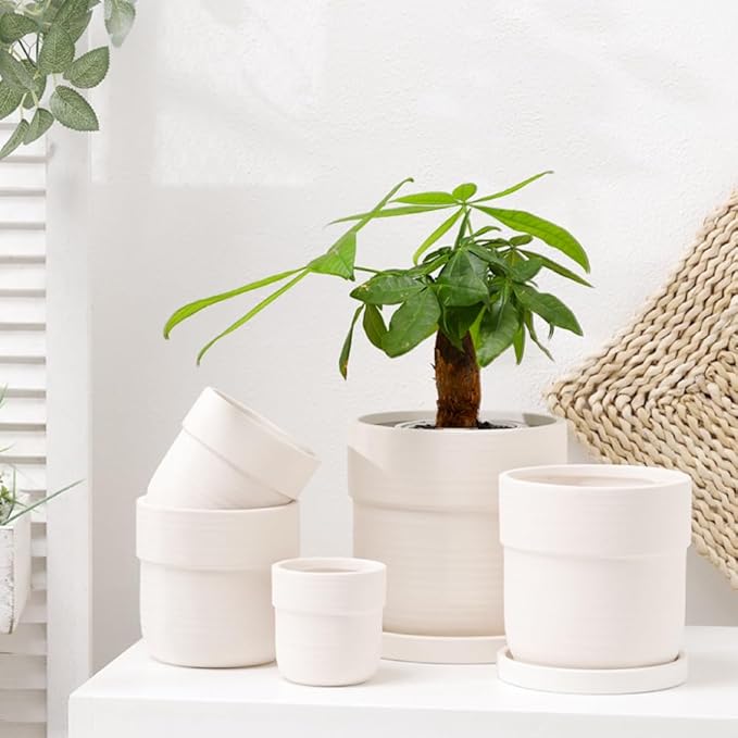 Braque Ceramic Plant Saucer 7 Inch, 2 Pack Round Matte White Flower Plant Saucers for Holding Water Drips and Soil, Ceramic Drainage Tray for Plant Pots, Include Silicone Feet Protect Surface
