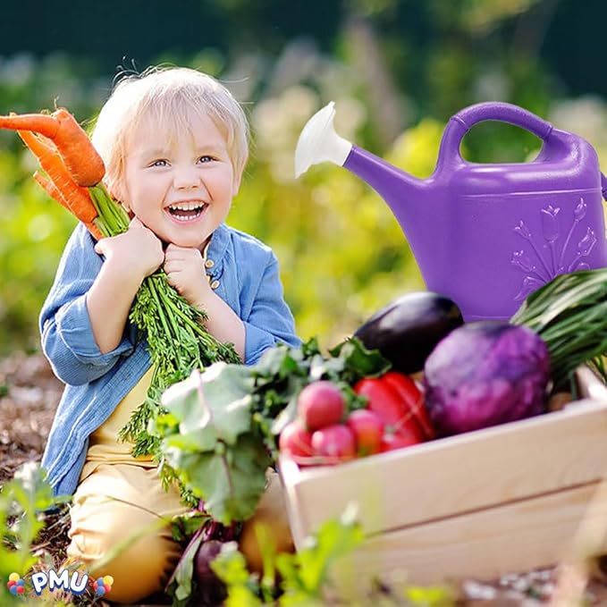 PMU 2 Gallon Watering Can - Garden Watering Can for Indoor & Outdoor Plants - Plastic Water Can with Detachable Sprinkler Head - Large Water Pot, Made in USA - Purple Pkg/1