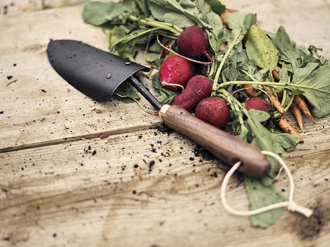 Barebones Spade Hand Trowel - Gardening Hand Tools - Stainless Steel Spade Shovel - Premium Quality Garden Spade - Japanese Garden Tool - Multipurpose Tool (Black/Walnut)