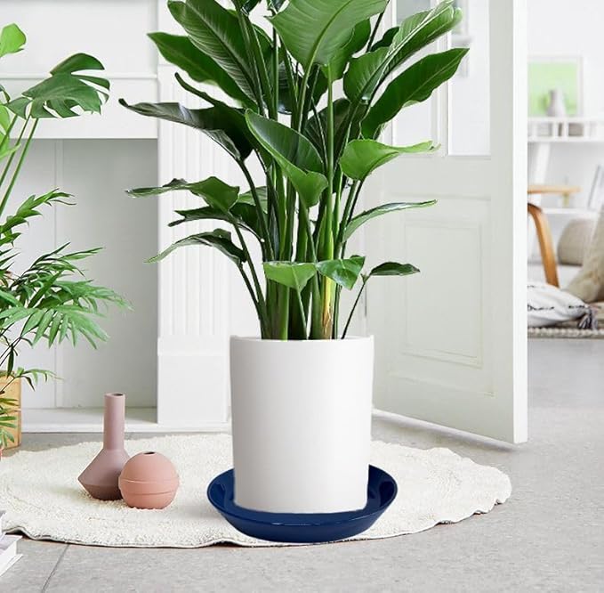 4 Pack of Plant Saucer, 5 inch Glazed Ceramic Plant Tray, Deep Drainage Tray for 4 Inch Flower Pot,Plant Dish Plate to Catch Water for Indoor & Outdoor