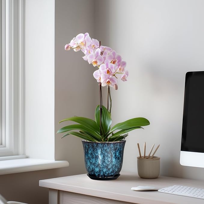 5.6 Inch Plant Pot - Ceramic Pots for Plants with Drainage Hole and Saucer, Round Succulent Flower Orchid Pot for Indoor Outdoor, Modern Planter, Home Room Decor, Gift for Plant Lover, Blue