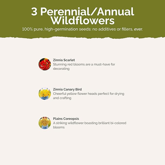 Eden Brothers Fiery Flower Mixed Seeds for Planting, 1 lb, 480,000+ Seeds with Zinnia Scarlet Flame, Plains Coreopsis | Attracts Pollinators, Plant in Spring or Fall, Zones 3, 4, 5, 6, 7, 8, 9, 10