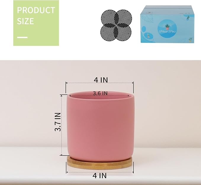 4 Inch Ceramic Plant Pots with Drainage Holes and Trays, Adorable Small Cylinder Flower Planter Pot with Saucers for Indoor Plants, Succulent, Snake Plants, Cactus & Herbs, Multicolor, Set of 4