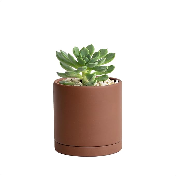 D'vine Dev 4 Inch Rust Terracotta Plant Pot with Drainage Hole and Saucer, Round Cylinder Planter Pot for Indoor Plants, 40-V-A-3