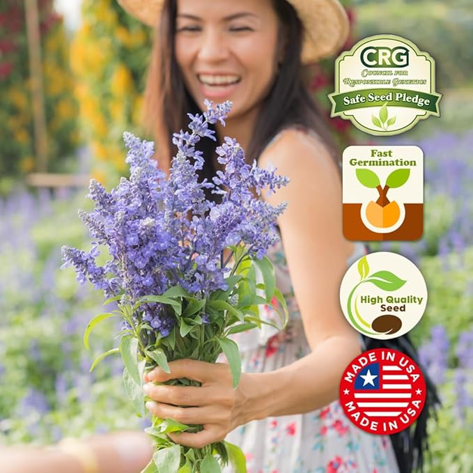 Hummingbird Nectar Wildflower Seeds - 1oz, Open-Pollinated Flower Seed Mix Packet, Non-GMO, No Fillers, Annual, Perennial Wildflower Seeds Year Round Planting - 1 oz