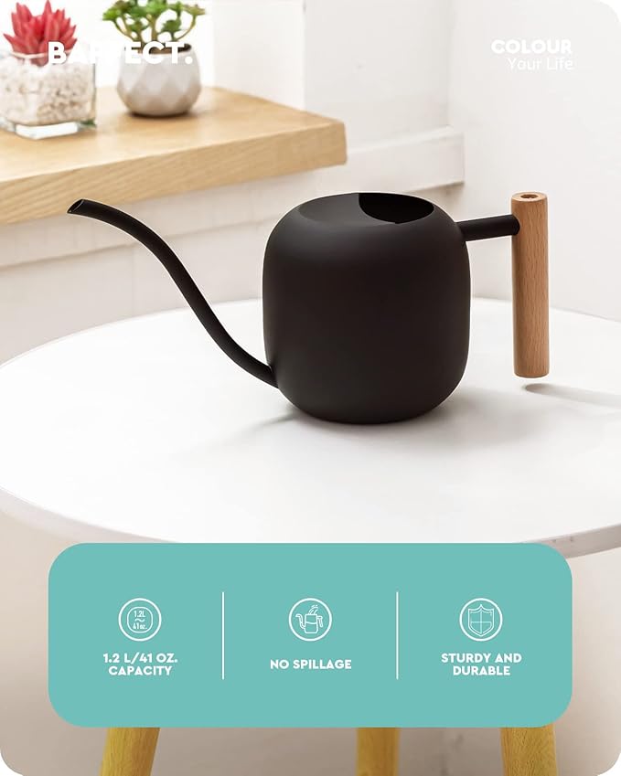 Baffect Watering Can Indoor Plants, 1.2L/41OZ Cute Watering Can Pot, Metal Stainless Steel Garden Water Can with Long Spout for Indoor House Plants Bonsai Outdoor Garden Flower Decorative