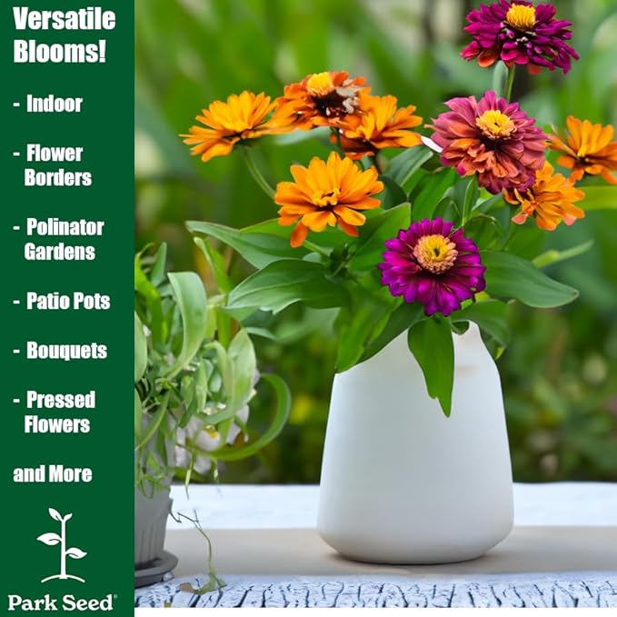 Park Seed Zinnia Flower Planting Seeds, Easy to Grow, Perfect for Spring Garden, Profusion Red Yellow Bicolor, Pack of 25