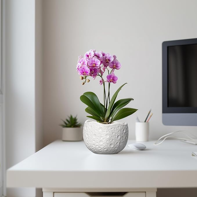 Ceramic Pots for Plants - 6 Inch Plant Pot for Indoor Outdoor, Decorative Orchid Pots with Drainage Hole, Unique Round Modern Planters, Home Decor, Gifts for Plant Lovers, White