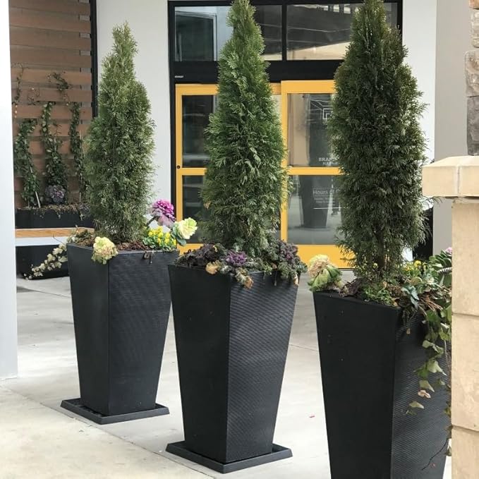 Crescent Garden Universal Square Plant Saucer, Houseplant Durable Drip Tray for Square Planter, Heavy-Duty Plastic Drainage Dish, Indoor/Outdoor pot Saucer - 11'' inner x 14.5" outer (Old Bronze)