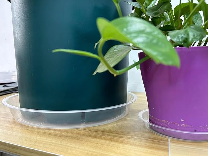 4 Pack Clear Plant Saucer 4 6 8 10 12 14 16 18 20 22 Inch Plant Trays for Pots, Plastic Extra Large Planter Saucers for Outdoors Indoors, Drip Catcher Water Tray for Plants (6 Inch)