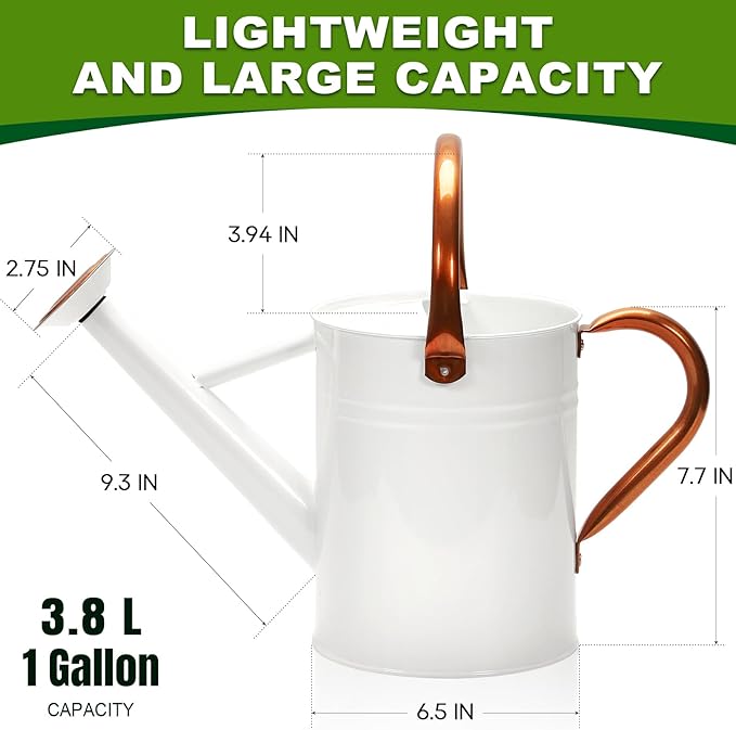Metal Watering Can with Removable Spout, Galvanized Watering Can, Perfect for Indoor Use and for Outdoor Use (1 Gallaon, White)