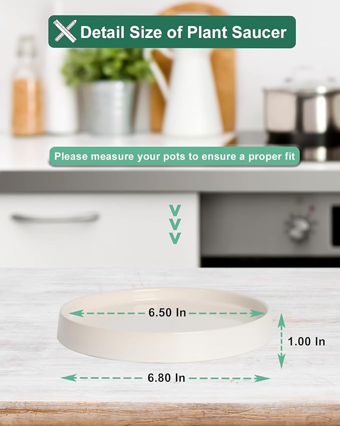 vensovo 7 Inch White Ceramic Plant Saucer Pots Tray -2 Pcs Round Planter Saucers for Indoor & Outdoor Plants, Large Trays Perfect for 5 Inch 6Inch Flower Pot
