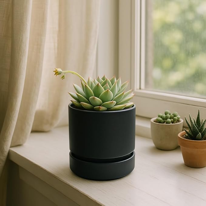 Phoenix Vine 4 Inch Planter Pot with Drainage Hole & Saucer, Deep Water Catch Tray, Straight Cylindrical Round Pot for Plants, Matte Black, Pack of 4, 23-C-R-4