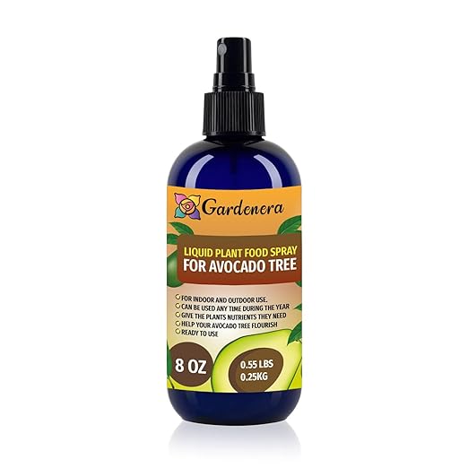 Professional Avocado Organic Superfood Spray Mist for Home Gardening | Micro-Fungi Enriched Fertilizer Mist for Healthy Leaves & Growth | 18 Key Vitamins & Minerals for Avocado - 8oz