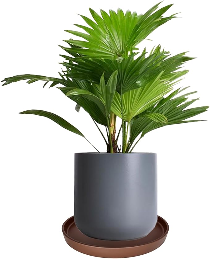 2 Pack Ceramic Plant Saucer Pot Tray 6 Inch, Planter Saucers 4 5 6 7 8 9 10 11 12 13 Inch for Indoors Outdoor, Durable Sturdy Flower Drainage drip Water Tray for Glazed Pots Base (6.4 Inch-Brown)