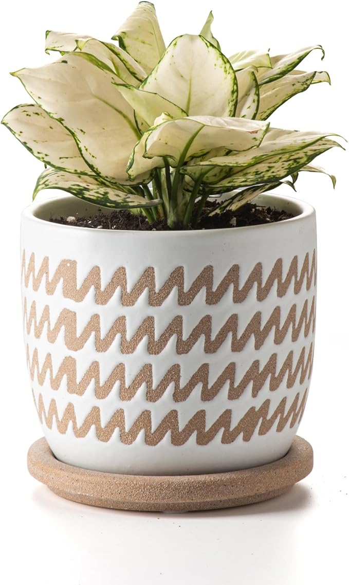Ceramic Flower Pots Indoor-Outdoor: 5.75 Inch Planters with Drainage Holes & Saucer - Modern Decorative Plant Pots Ceramic for Home Gardeners (Wave)