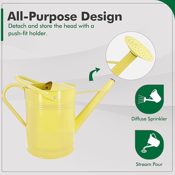 Galvanized Iron Watering Can for Indoor Plants, DIY Watering Cans for House Plant Garden Flower, Long Spout Water Can for Outdoor Watering Plants 7.57L 2 Gallon (Beige)