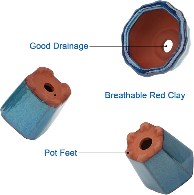 Bonsai Planter Succulent 6 pc Mini Glazed Pots Value Set + 6 Soft Mesh Drainage Screens