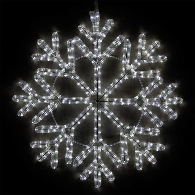 Wintergreen Lighting 24" LED Snowflake Light Christmas Decorations Outdoor, 40 Point Cool White Rope Light
