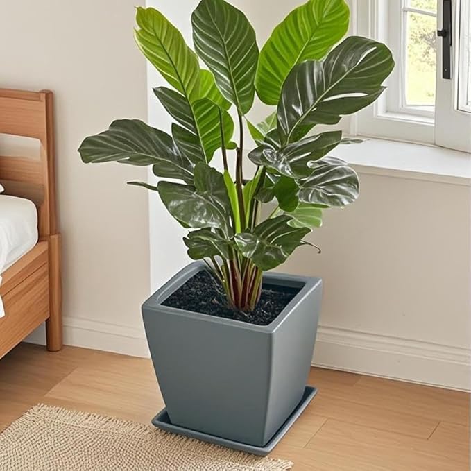 Square Plant Saucer 10 Inch 1 Pack，Plant Trays for Pots, Gray Ceramic Plant Saucers for Indoors Outdoors, Plant Drip Tray 4 6 8 10 12 14 Inch