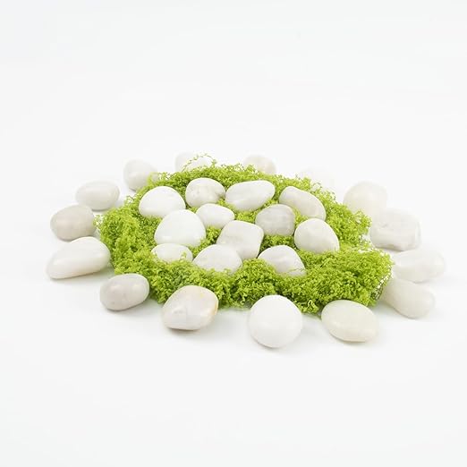 River Rocks - Natural Polished White Pebbles, 0.5-1 inch, 10 Lbs - Ideal for Indoor Planting, Vase Filling, Aquarium Decoration, and Garden Landscaping (White, Weight: 10 LB)