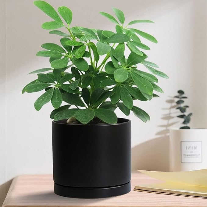 Ceramic Plant Saucer Pot Tray 6, 8, 10 Inch Black, Planter Saucers for Indoors Outdoor, Durable Sturdy Flower Drainage drip Water Tray for Glazed Pots Base