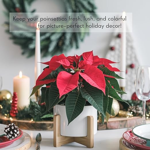 Premium Holiday Plant Food Mist - 3-1-2 Liquid Fertilizer Spray for Poinsettias, Christmas Flowers, and Greenery - 8oz