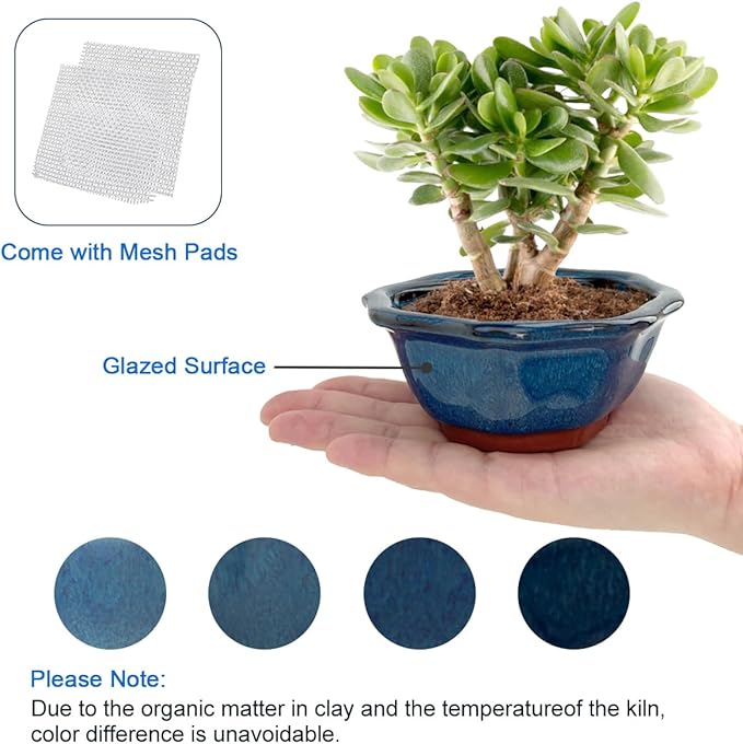 Bonsai Planter 6 pc Mini Glazed Succulent Pots Value Set + 6 Soft Mesh Drainage Screens