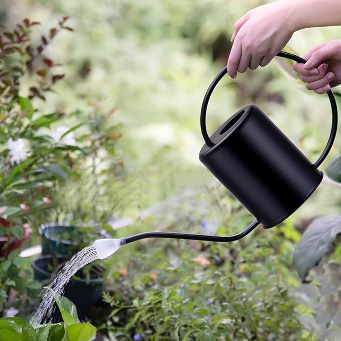 Stainless Steel Black Colored Watering Can 1/2 Gallon 68oz Long Spout Watering Pot for Indoor Plant Watering or Outdoor Gardening with 2Pcs Removable Spray Spout for Flowers