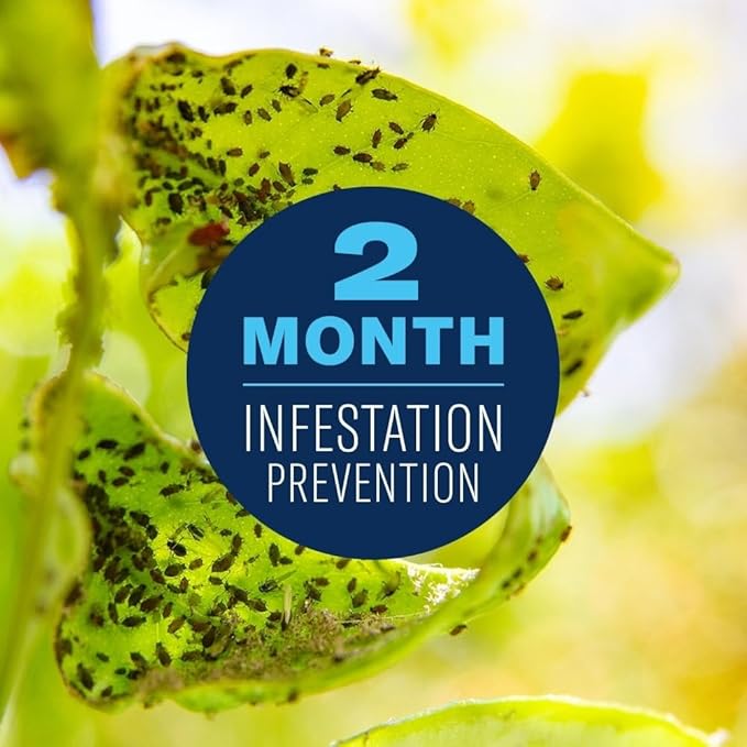 BIOADVANCED 701520A Fruit, Citrus & Vegetable Insect Control for Edible Gardening Concentrate, 32-Ounce