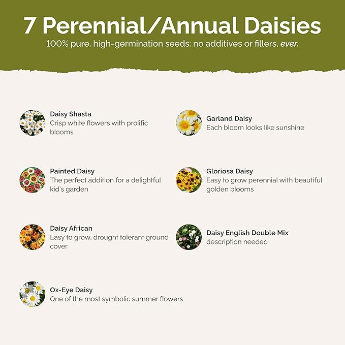 Eden Brothers Daisy Crazy Flower Mixed Seeds for Planting, 1 lb, 480,000+ Seeds with Creeping, Painted, Yellow Daisy | Attracts Pollinators, Plant in Spring or Fall, Zones 3, 4, 5, 6, 7, 8, 9, 10