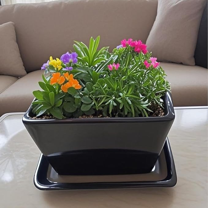 Square Plant Saucer 6 Inch 2 Pack，Plant Trays for Pots, Black Ceramic Plant Saucers for Indoors Outdoors, Plant Drip Tray 4 6 8 10 12 14 Inch