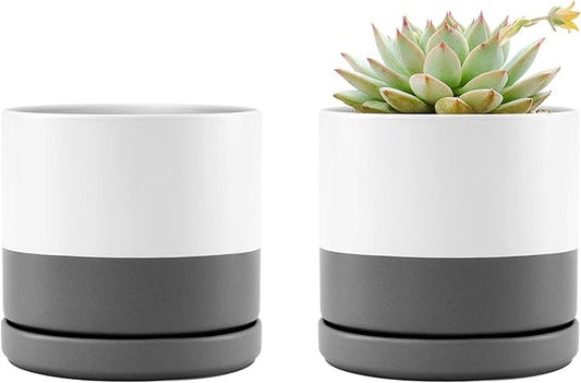 D'vine Dev Set of 2 Plants Pots, 4.6 Inch Ceramic Planter Pot for Plants with Drainage Hole and Saucer, White/Speckled Grey, 94-V-B-6