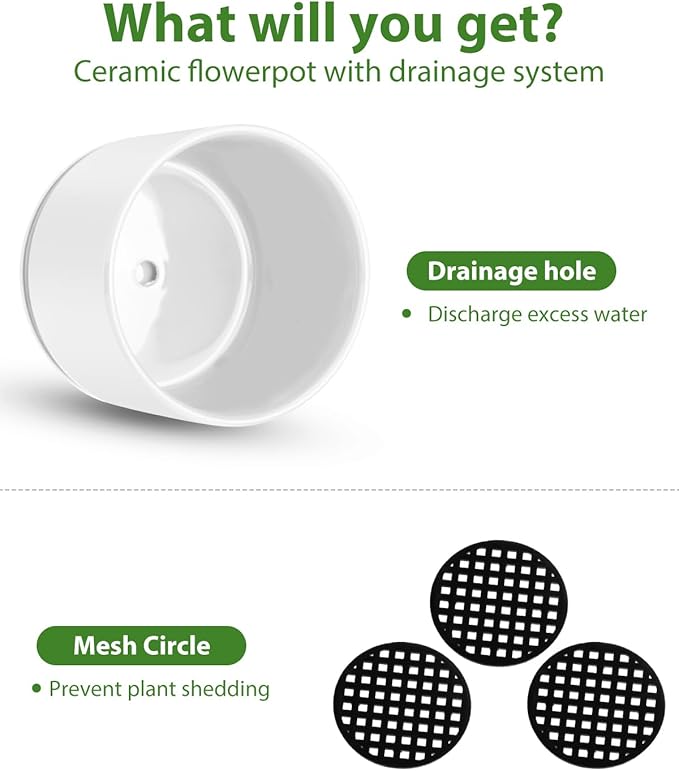 EFISPSS Plant Pots, 4+5+6 Inch Pots for Indoor Plants, Ceramic Planter Pot with Drainage Hole, Flower Pots for Succulent Cactus, Set of 3 - White