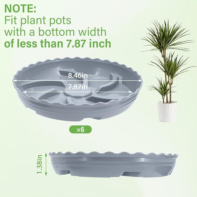6 Pack 8 Inch Plant Trays for Pots, Raised Ridge Plant Saucers,6 10 12 14 Inch Durable Plastic Plant Pot Saucer,Gray Round Plant Water Catcher Tray for Indoors and Outdoors(Gray, 8‘’6pack)