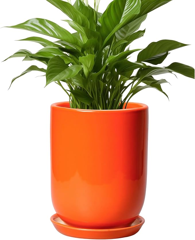Ceramic Planter - 8 Inch Plant Pot with Drainage Hole and Saucer, Cylinder Round Modern Flower Pot for Indoor Outdoor Plants, Plant Lover Gifts, Garden Office Home Decor, Orange