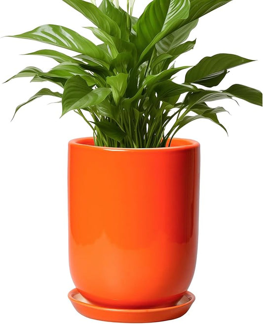Ceramic Planter - 8 Inch Plant Pot with Drainage Hole and Saucer, Cylinder Round Modern Flower Pot for Indoor Outdoor Plants, Plant Lover Gifts, Garden Office Home Decor, Orange